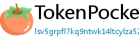 TokenPocket谷歌商店下载 - Google Play商店TokenPocket正版安装指南